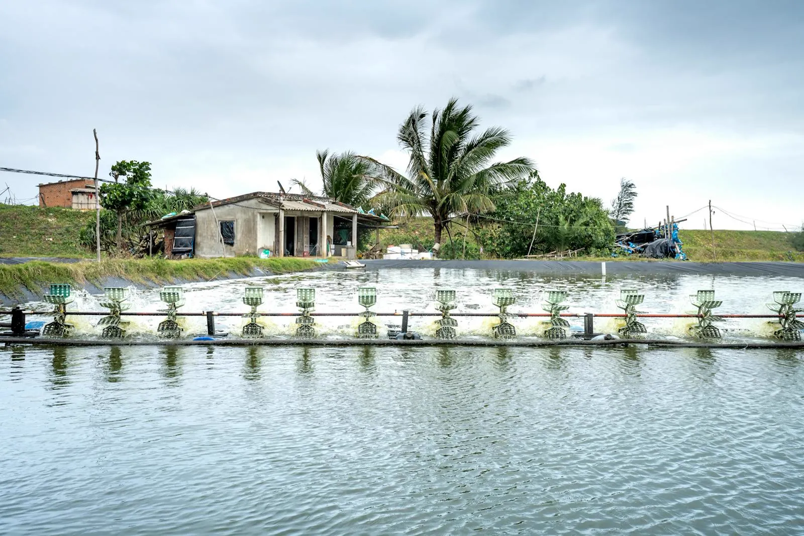 Peralatan budidaya udang