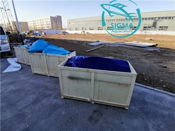 Biofloc tilapia tank export to japfa group