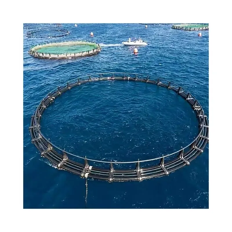 Float Cage
