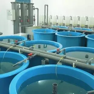 FRP Fish Tank