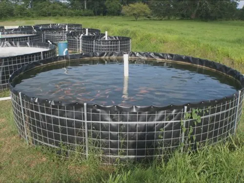 HDPE Fish Tank