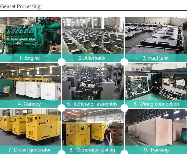 Electricity generator