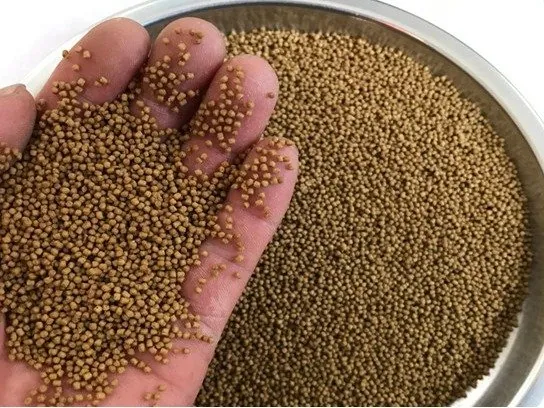 Fish shrimp feed