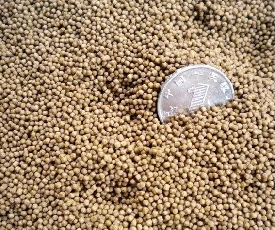 Fish shrimp feed