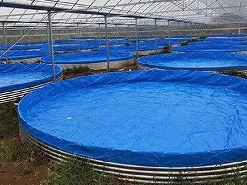 Fish tank export to malaysia