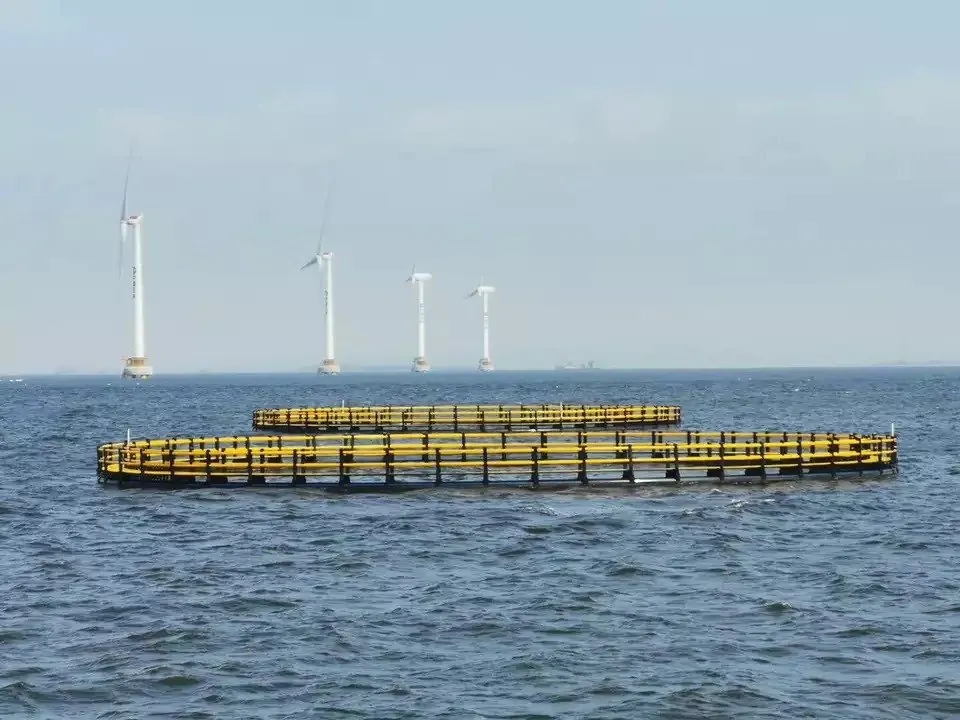 Float cage