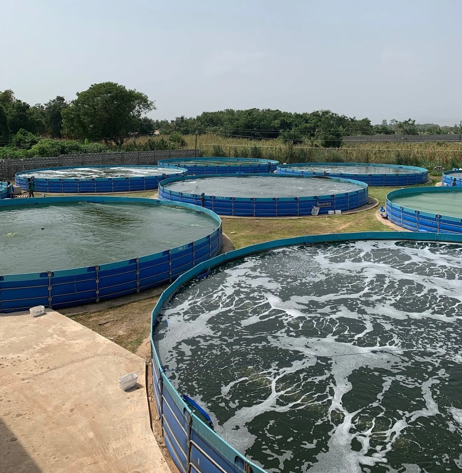 Aquaculture Tanks
