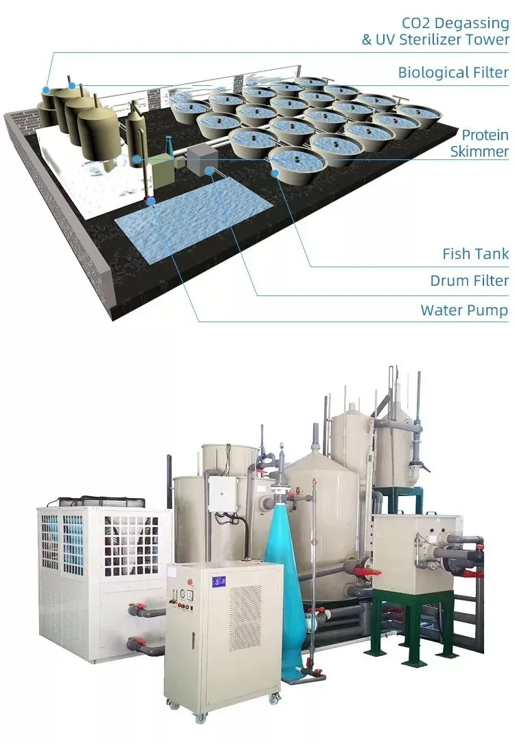 Protein skimmer filter