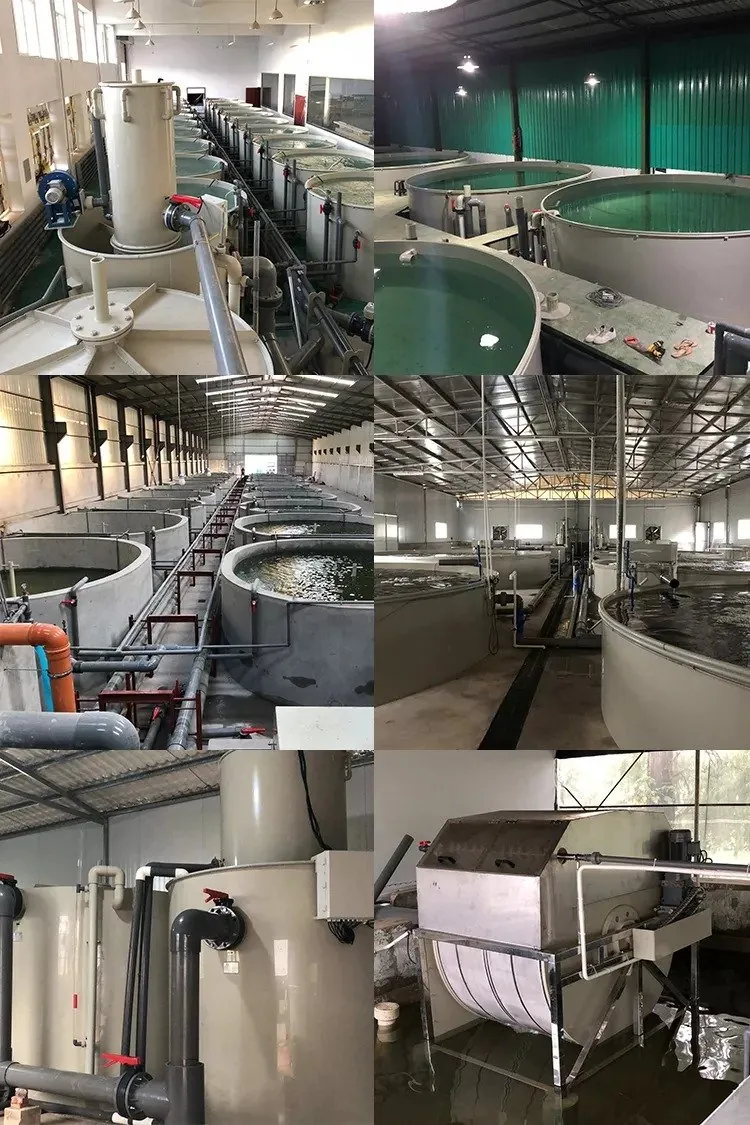 Protein skimmer filter