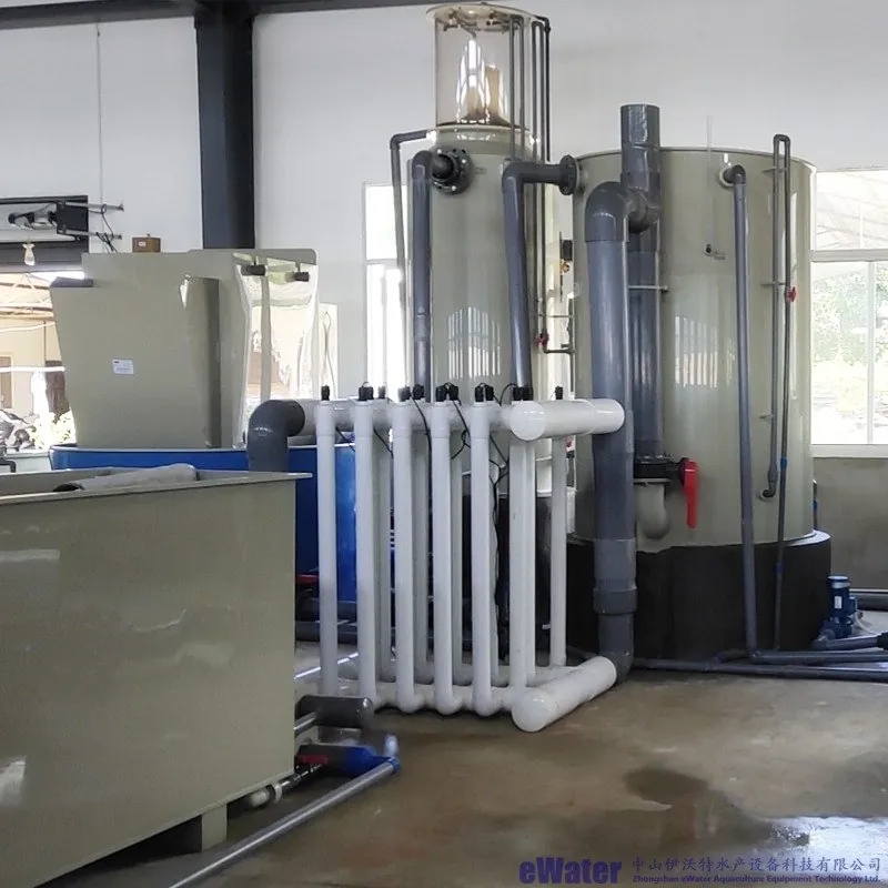 RAS system in an indoor aquaculture facility