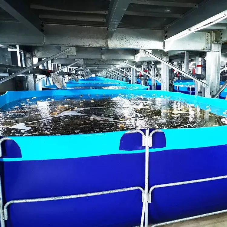 Rectangle aqua tank