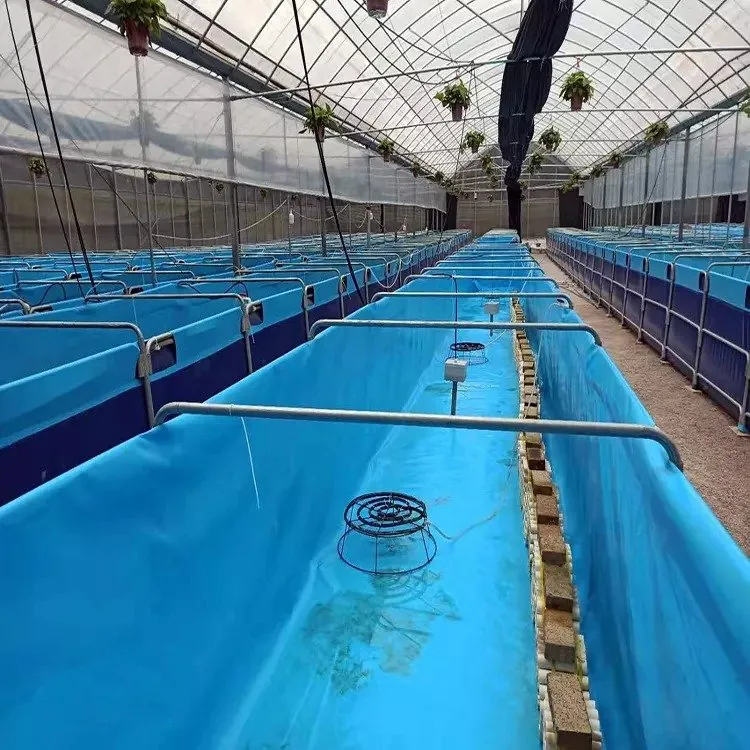 Rectangle aqua tank