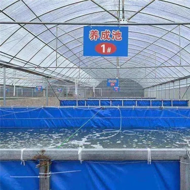 Rectangle fish tank
