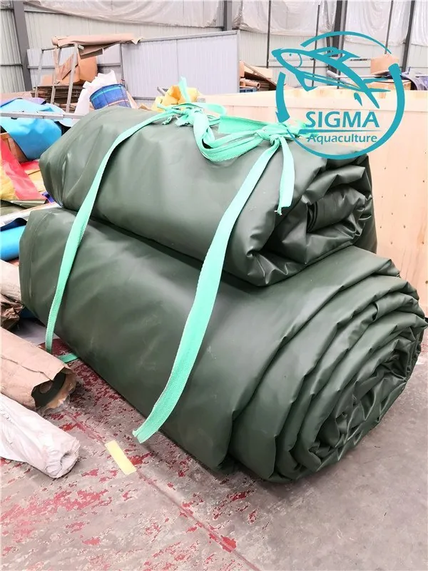 Super large fish tank export to mozambique