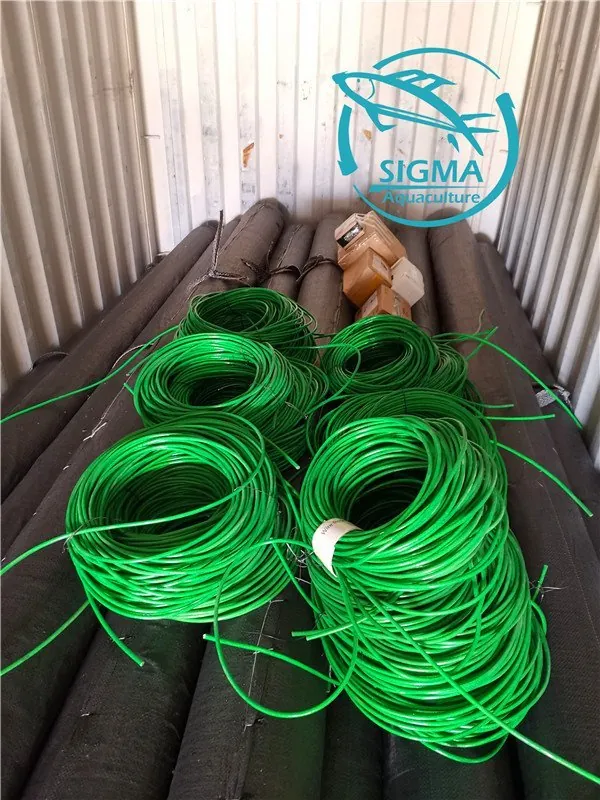 Tilapia circular tank export to ghana