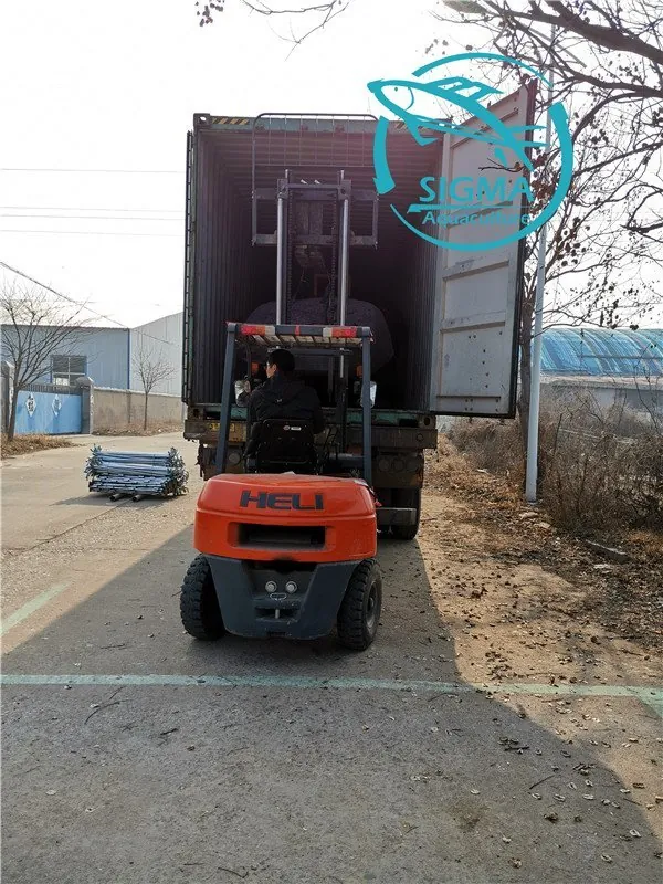 Tilapia circular tank export to ghana